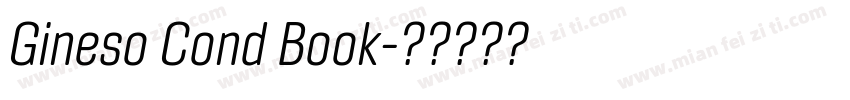 Gineso Cond Book字体转换
